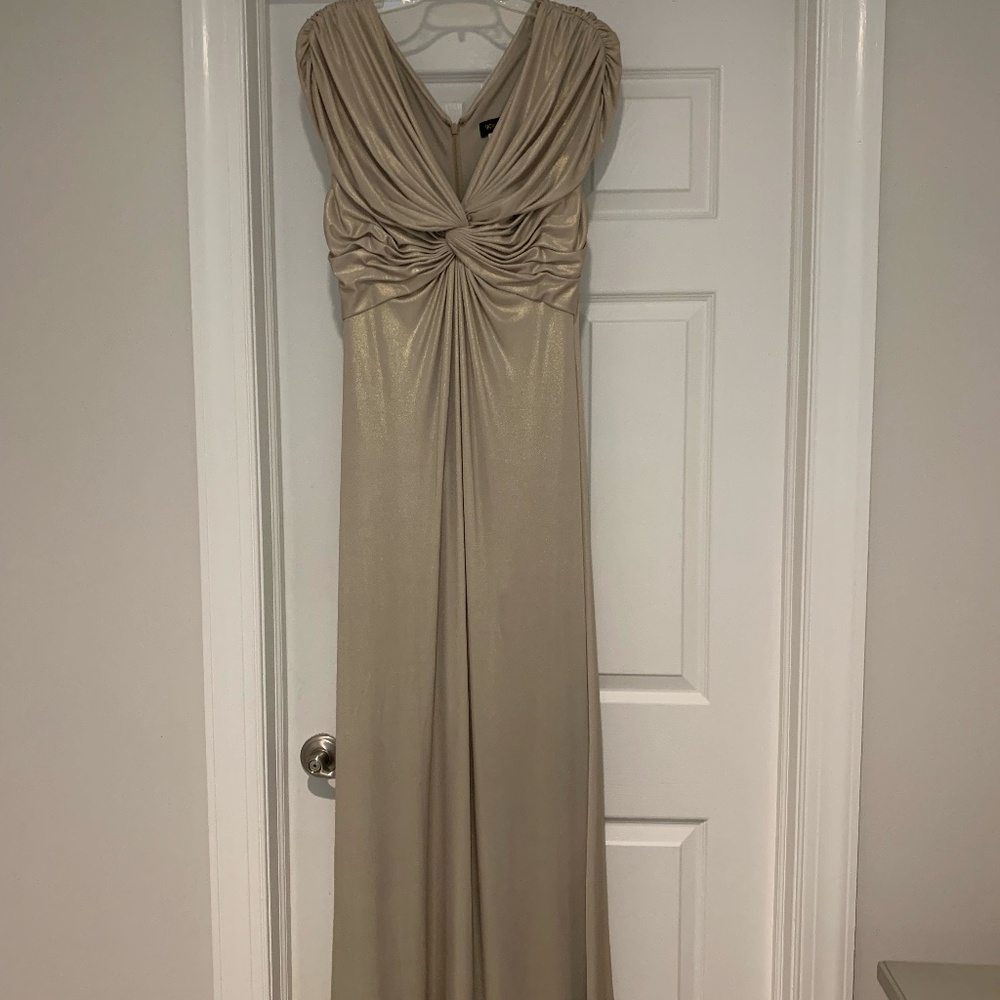 Tadashi Shoji Gown